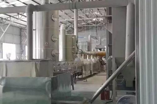 周末戰斗號角,臨沂生態環保人已吹響