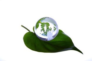 睿容環(huán)保 凈睿產(chǎn)品如何成為環(huán)保事業(yè)發(fā)展的核心引擎